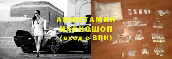 ECSTASY Богданович