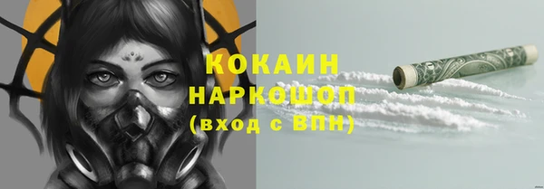 ECSTASY Богданович