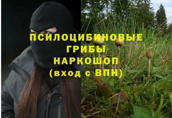 наркотики Богородск