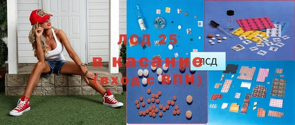 ECSTASY Богданович