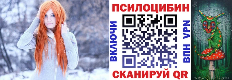 Галлюциногенные грибы Psilocybe  Мичуринск 